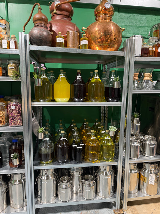 Why Ditching Plastic is Critically Important for Health