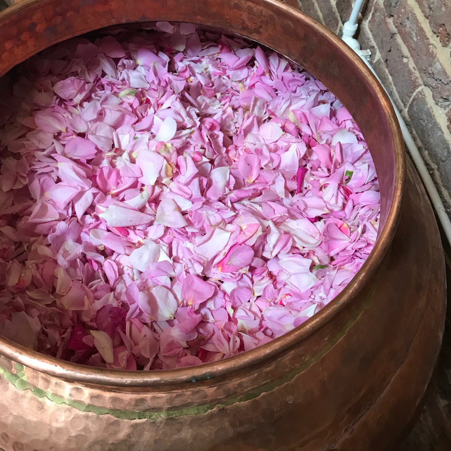 Face Mist - Harris Rose