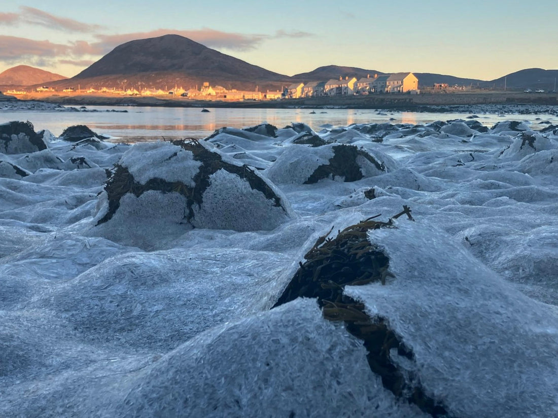 Wintering in Harris