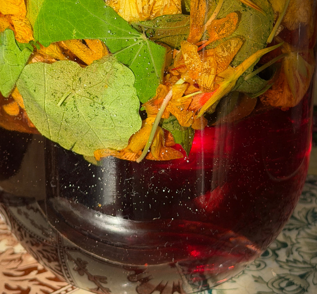 Nasturtium - More Than Just a Peppery Bite