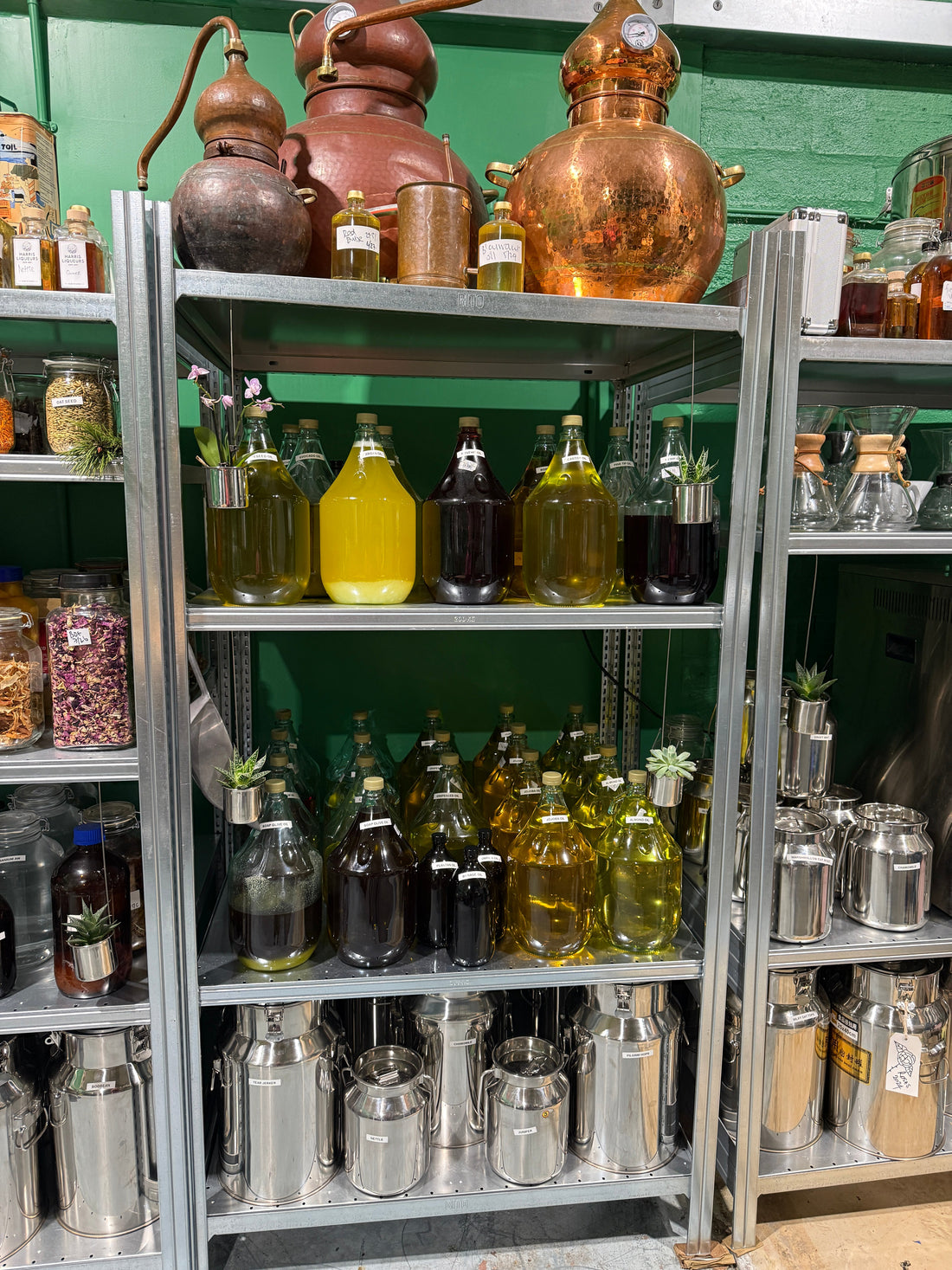 Why Ditching Plastic is Critically Important for Health