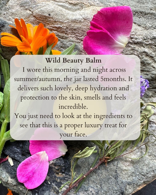 Nourishment - What Simply Feeds You and What Actually Nourishes You?