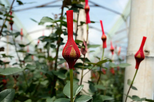 It's Time to Wake Up to The Reality of Commercially Grown Flowers