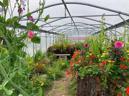 A weekend of Creative Wandering and Making