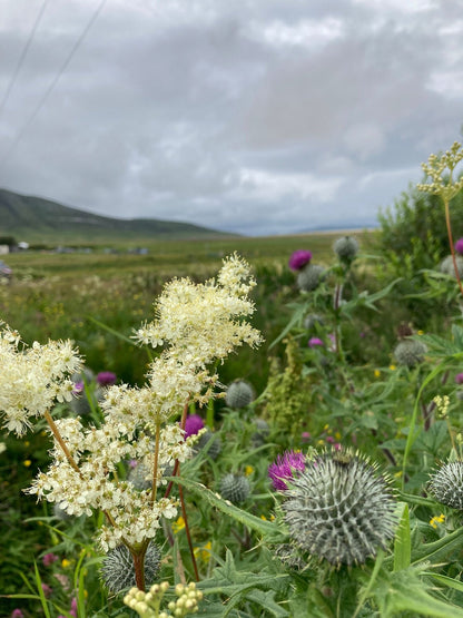 Therapeutic Balm and Tea Making Day