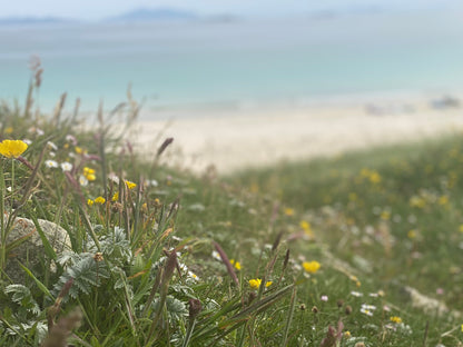Therapeutic Balm and Tea Making Day