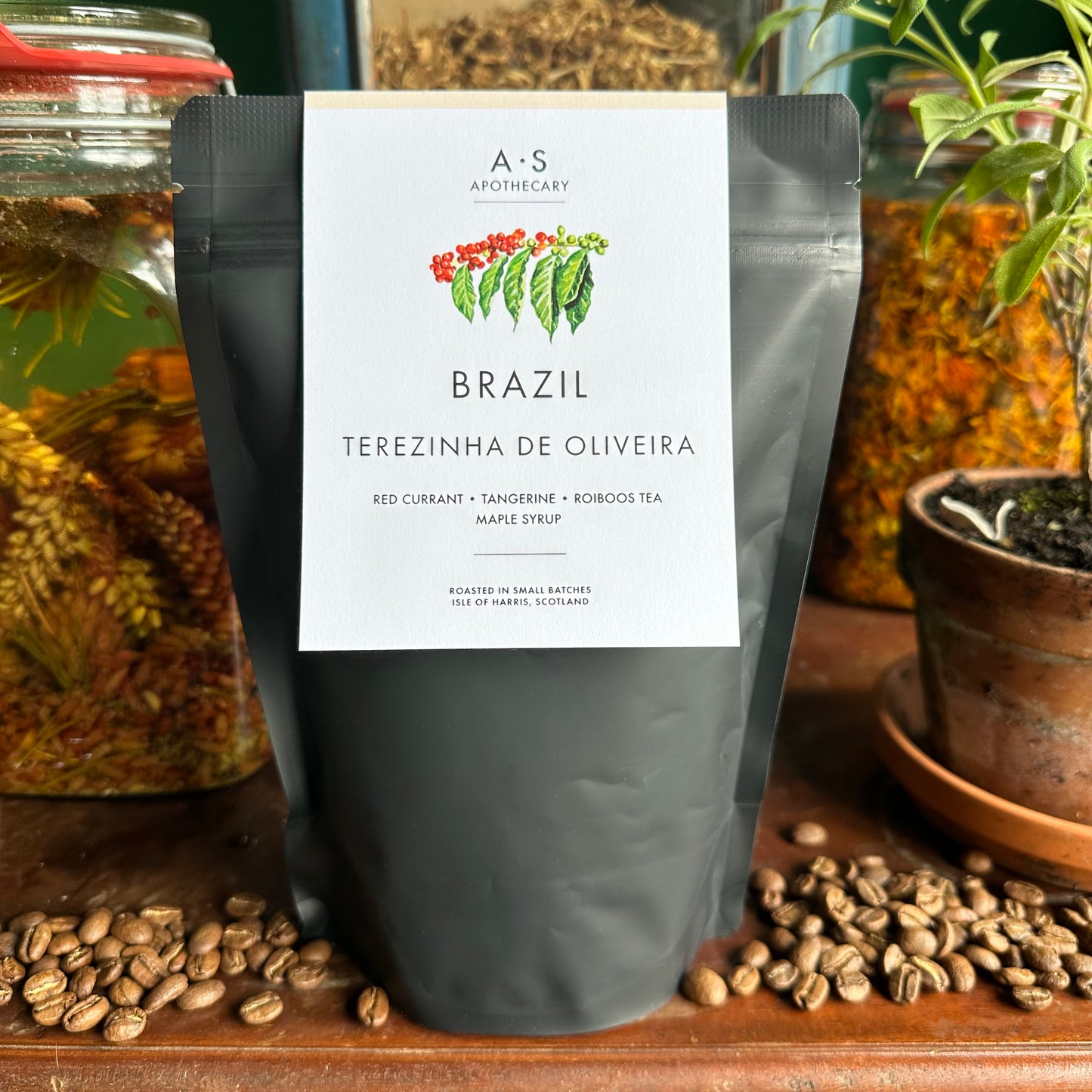 Brazil - Terezhinha de Oliveira