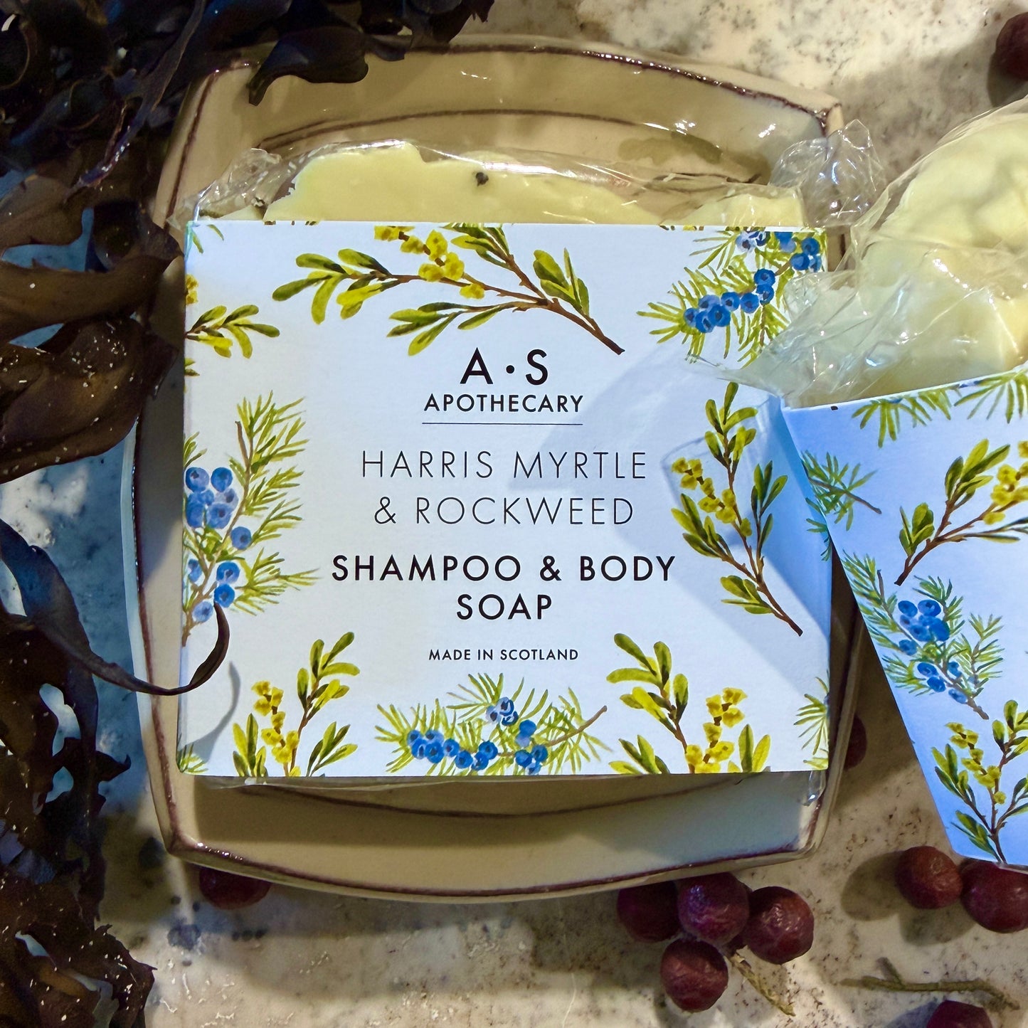 Shampoo & Body Bars