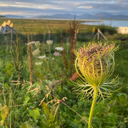 A weekend of Creative Wandering and Making